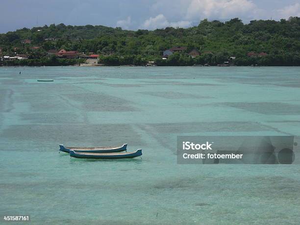 Alga Marina Coltivazione Di Nusa Lembongan - Fotografie stock e altre immagini di Albero - Albero, Bali, Composizione orizzontale