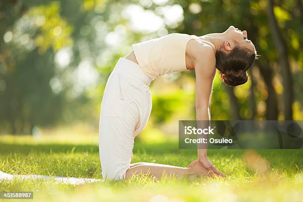 Pretty Woman Doing Yoga Exercises In The Park Stock Photo - Download Image Now - Active Lifestyle, Activity, Adult