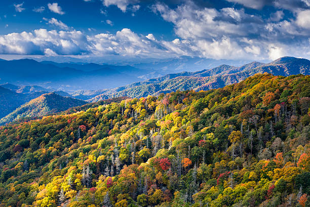 istock Early Morning Below Clingman's Dome 451592983