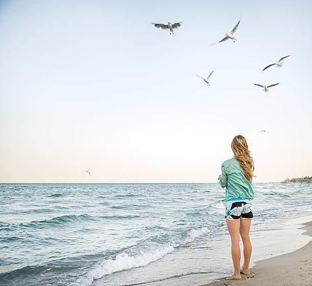 istock Young Girl are Feeding Seagulls 451596253