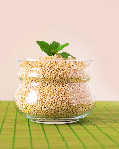 Quinoa seeds in the glass pot with basil leaf stock photo