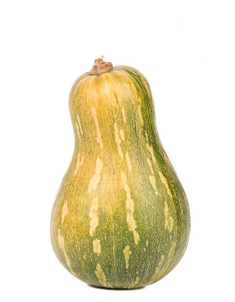 istock Fresh orange and green pumpkin 451602221