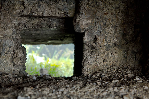 Slit of a historic trench of the First World War in Friuli Venezia Giulia, Italy.