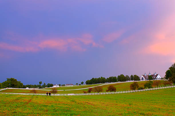 istock Evening at a horse farm 451608361