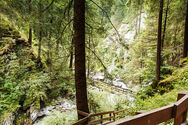 istock Stanghe waterfalls - Racines 451613735