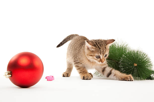 istock Cat with a new year ball 451615465