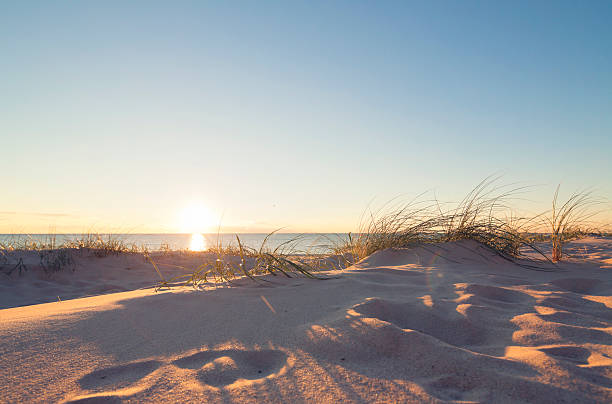 istock Beach by the Northsea 451621651