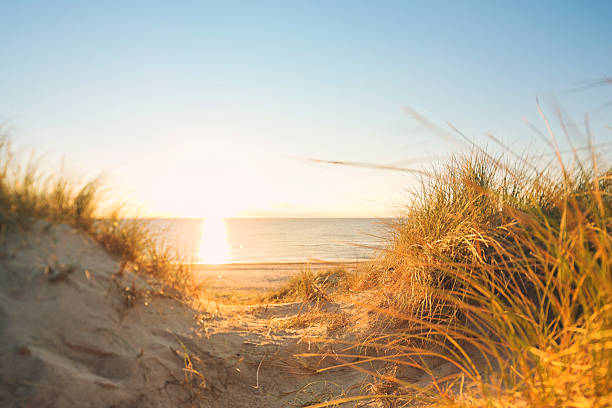 istock Beach by the Northsea 451621683