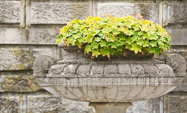 istock stone bowl with flowers on the background wall 451623317