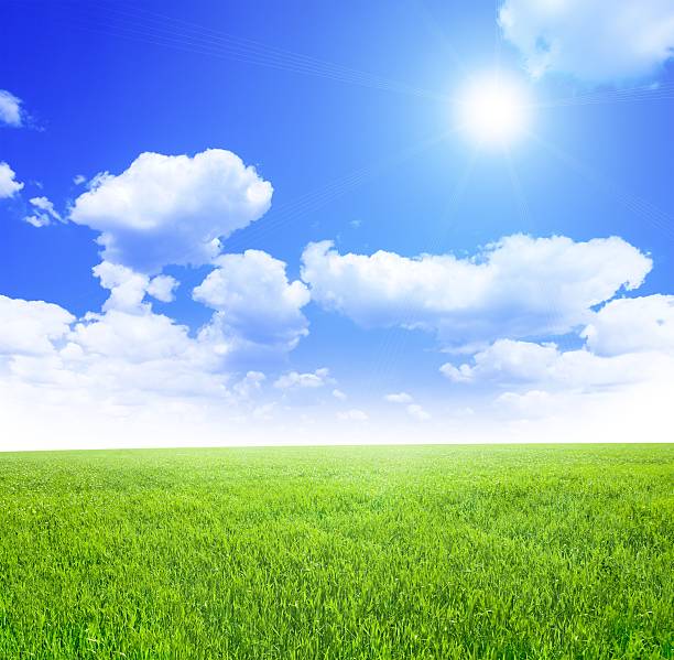 istock Green field with shiny sun on the blue sky 451626757