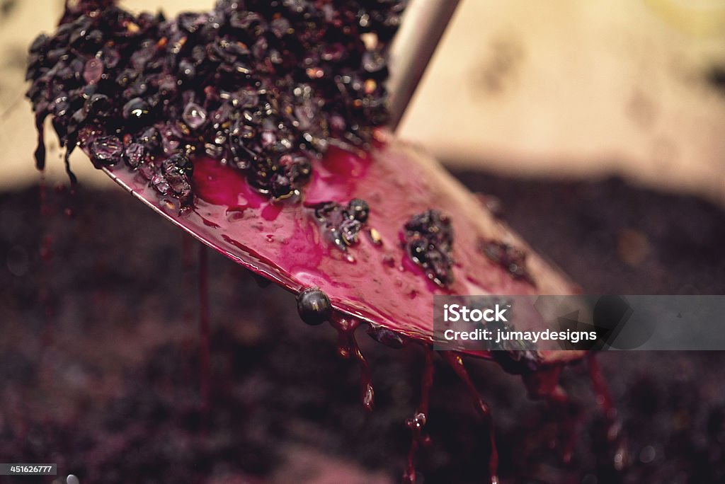 Punching the cap - Red Wine Increasing oxygenationin in fermenting wine at an organic vineyard. Fermenting Stock Photo