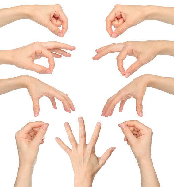 istock Collage of woman hands 451631701