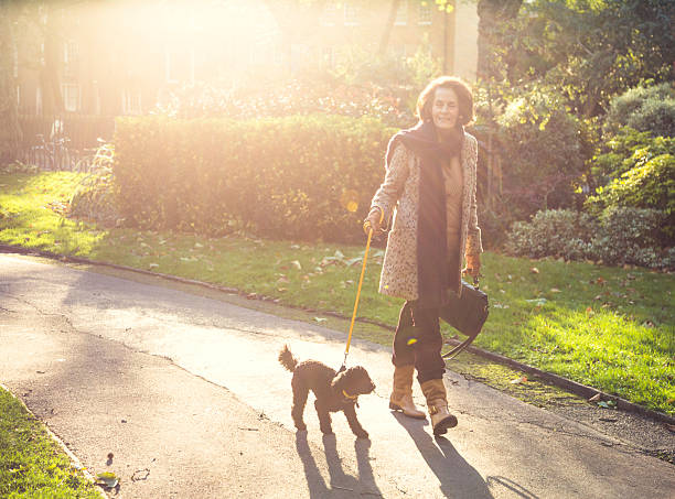 Woman walking a dog in park in sunny autumn afternoon Waman walking with dog in a park. Photo taken in London, UK. mature adult walking dog stock pictures, royalty-free photos & images