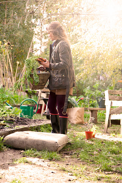 istock Young woman gardening 451632399