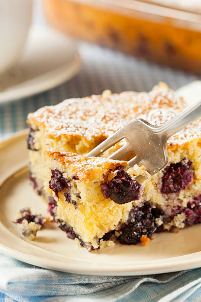 istock Homemade Blueberrry Coffee Cake 451636639