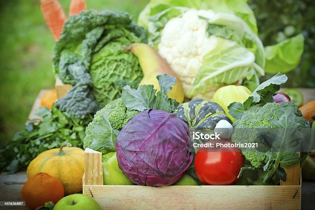 Fresh organic fruits and vegetables Agriculture Stock Photo