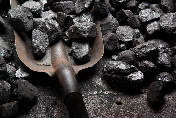 carbone e secchiello - carbonella foto e immagini stock