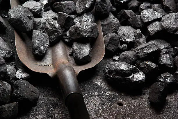 Photo of Close-up of shoveling black coal