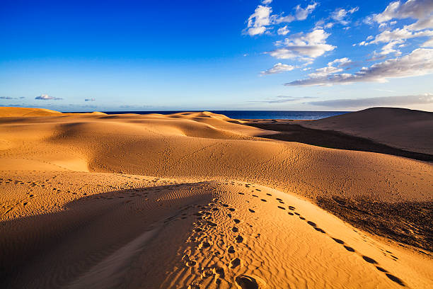 sand dunes of maspalomas - gran canaria stockfoto's en -beelden