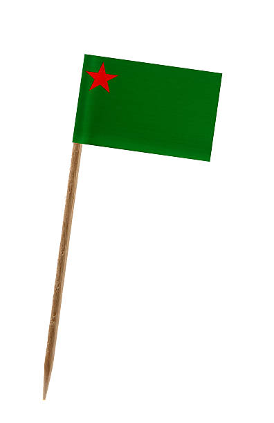 istock Flag of Benin 451646471