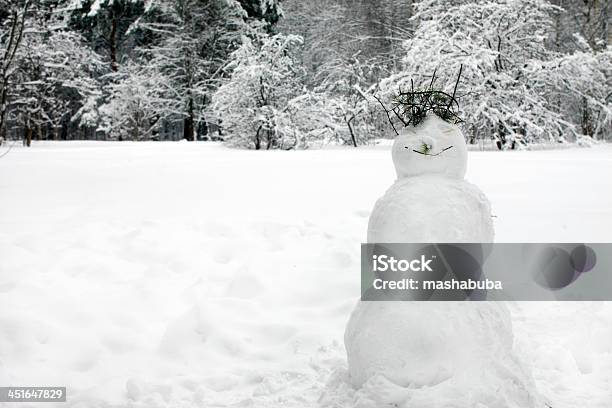 Pupazzo Di Neve Nella Foresta - Fotografie stock e altre immagini di Albero - Albero, Bellezza, Bellezza naturale