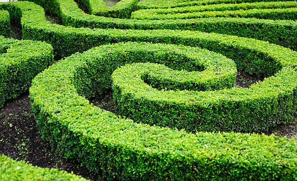 Maze in Boston near the University district, Boston, Massachusetts, USA