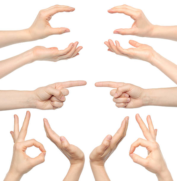 istock Collage of woman hands 451654659