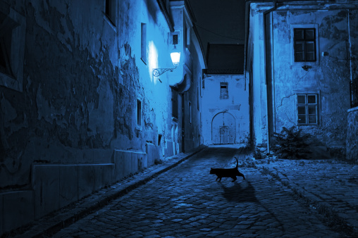 black cat crosses the deserted street at night