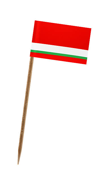 istock Flag of Tajikistan 451664527