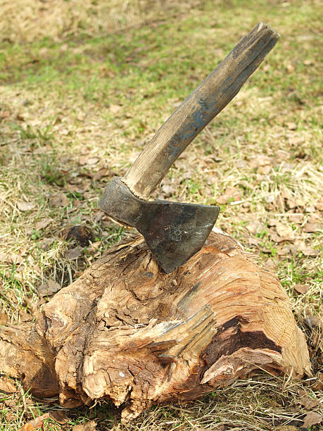 istock Photo of axe in the stump 451666285