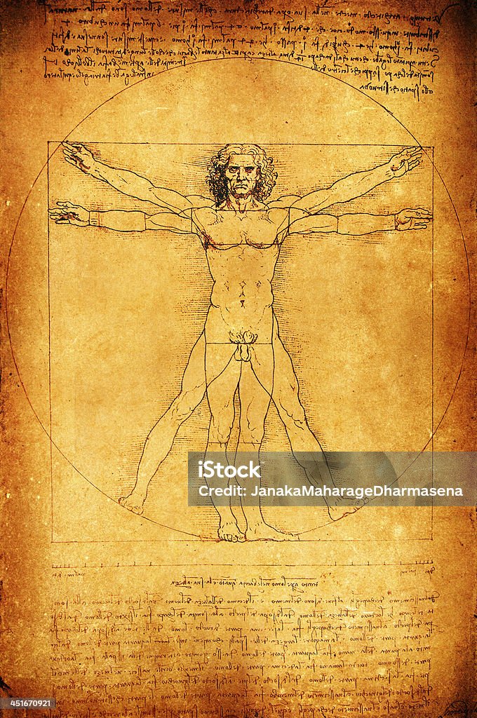 Classic Leonardo Davinci Human Anatomy Drawing Stock Illustration -  Download Image Now - Leonardo Da Vinci, Drawing - Art Product, Anatomy -  iStock