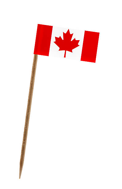 istock Flag of Canada 451675743