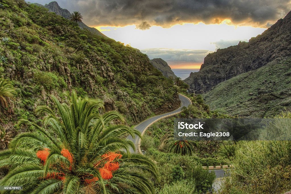 Palms and serpentine near Masca village with mountains, Tenerife Palms and serpentine near Masca village with mountains, Tenerife, Canarian Islands Archipelago Stock Photo