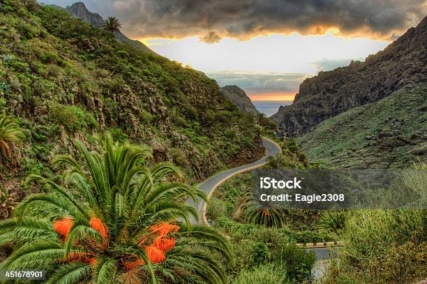 Palms And Serpentine Near Masca Village With Mountains Tenerife Stock Photo - Download Image Now