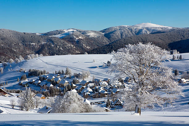 inverno, schnee, congelação, baum, schwarzwald, deutschland,, friburgo schauinslandcity in germany - skiurlaub imagens e fotografias de stock