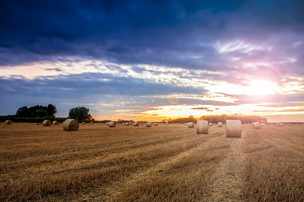 istock End of day over field with hay bale 451680735