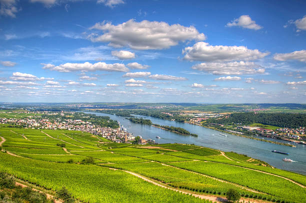 istock Vineyard, Ruedelsheim, Hessen, Germany 451680793