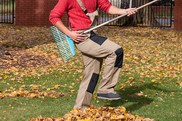 istock Gardener playing during his job 451683223
