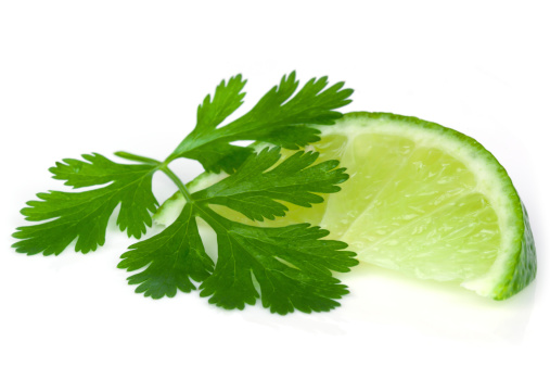 Lime and cilantro or coriander isolated on white.