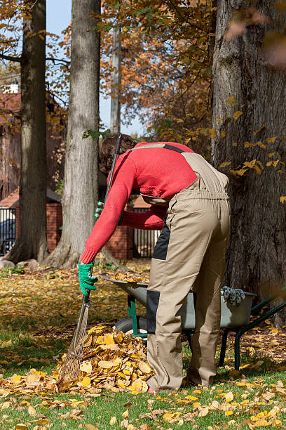 istock Gardener during his job. 451689623