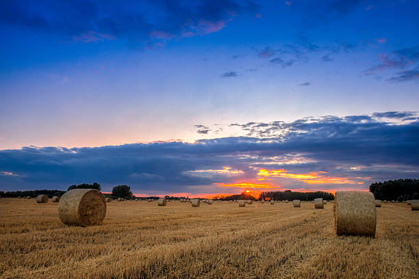 fim do dia de campo com hay bale - wheat sunset bale autumn imagens e fotografias de stock