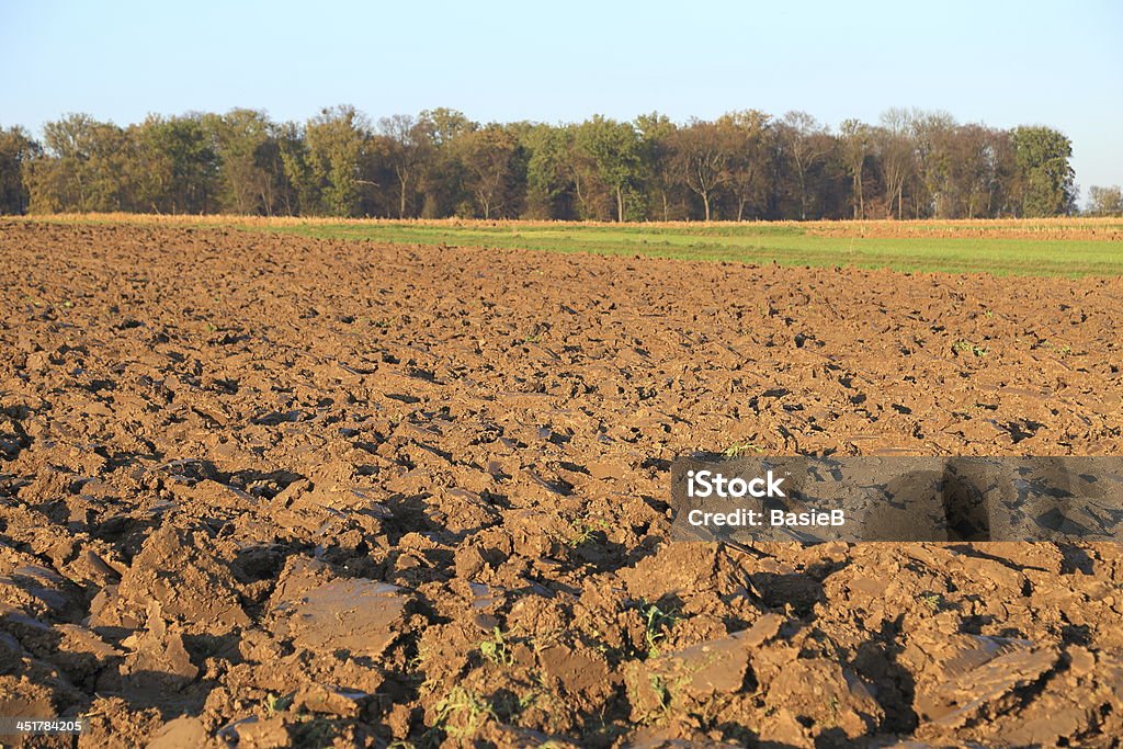 Gepflügtes Feld im Herbst - Lizenzfrei Agrarland Stock-Foto