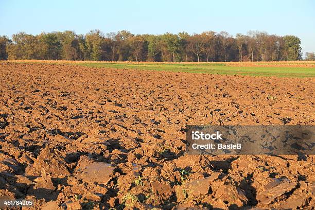 Gepflügtes Feld Im Herbst Stockfoto und mehr Bilder von Agrarland - Agrarland, Braun, Erdreich