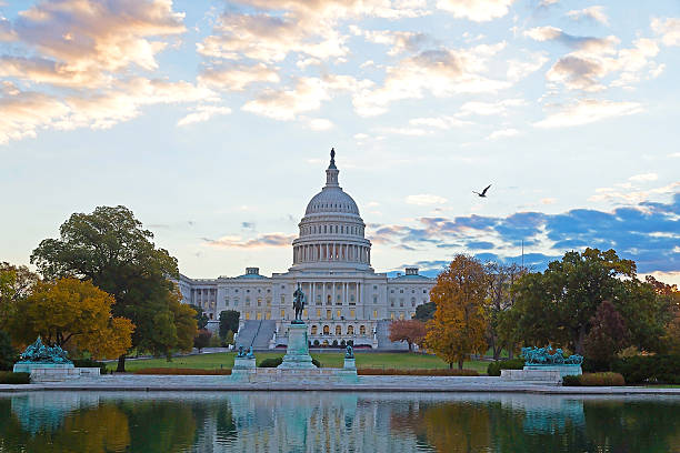 istock Capitol Hill at dawn in Washington DC 451787937