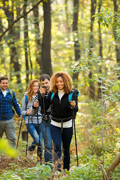 istock Friends hiking in forest together. 451796389