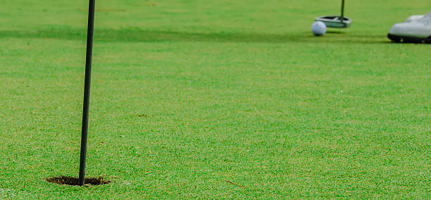 istock Golf ball on a green, in front of the hole, 451800503