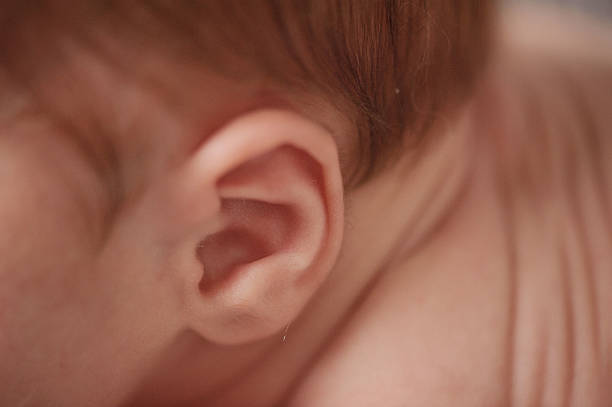 istock Closeup Of Newborn Ear 451800549