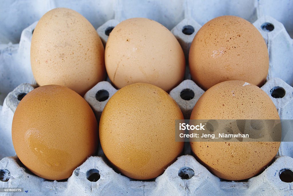 egg egg fresh Animal Stock Photo