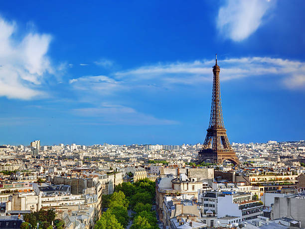 istock Rooftop view on the Eiffel Tower, Paris, France 451800943