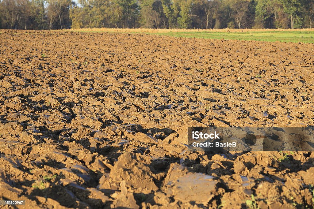 Gepflügtes Feld im Herbst - Lizenzfrei Agrarland Stock-Foto